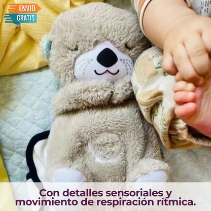 🧸NUTRIA DORMILON PREMIUM💤