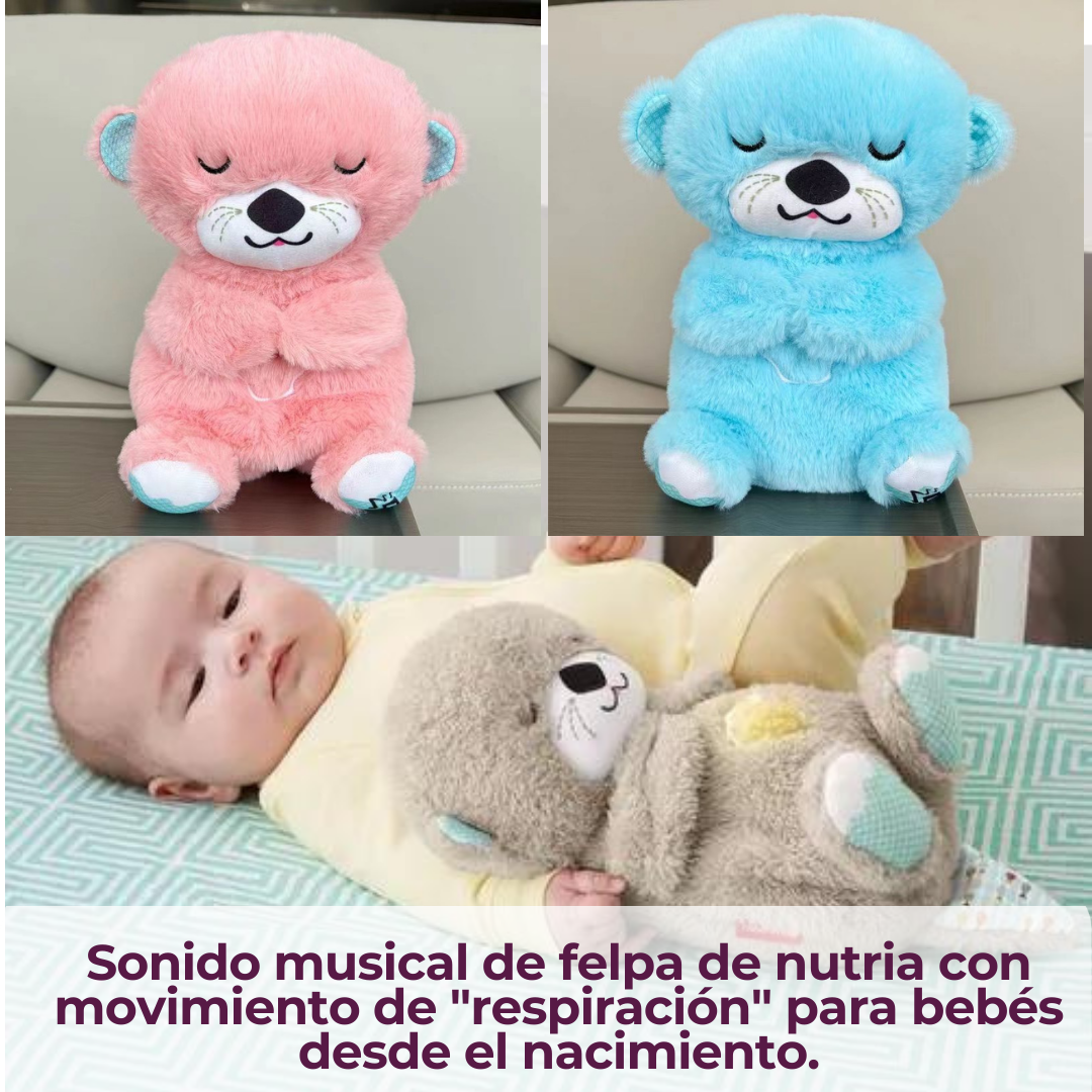 🧸NUTRIA DORMILON PREMIUM💤